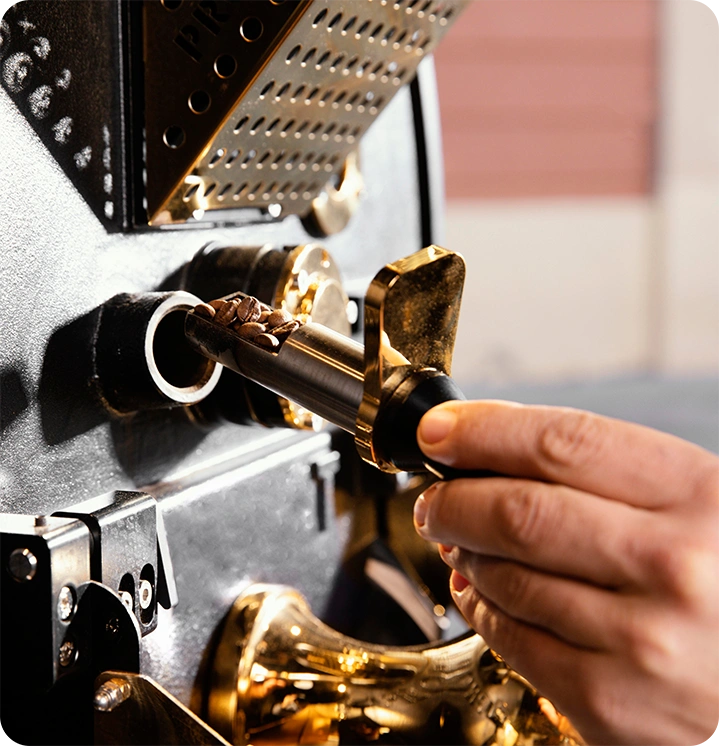 Vorbeugung von img-487